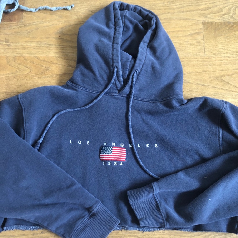 Brandy melville cropped usa hoodie